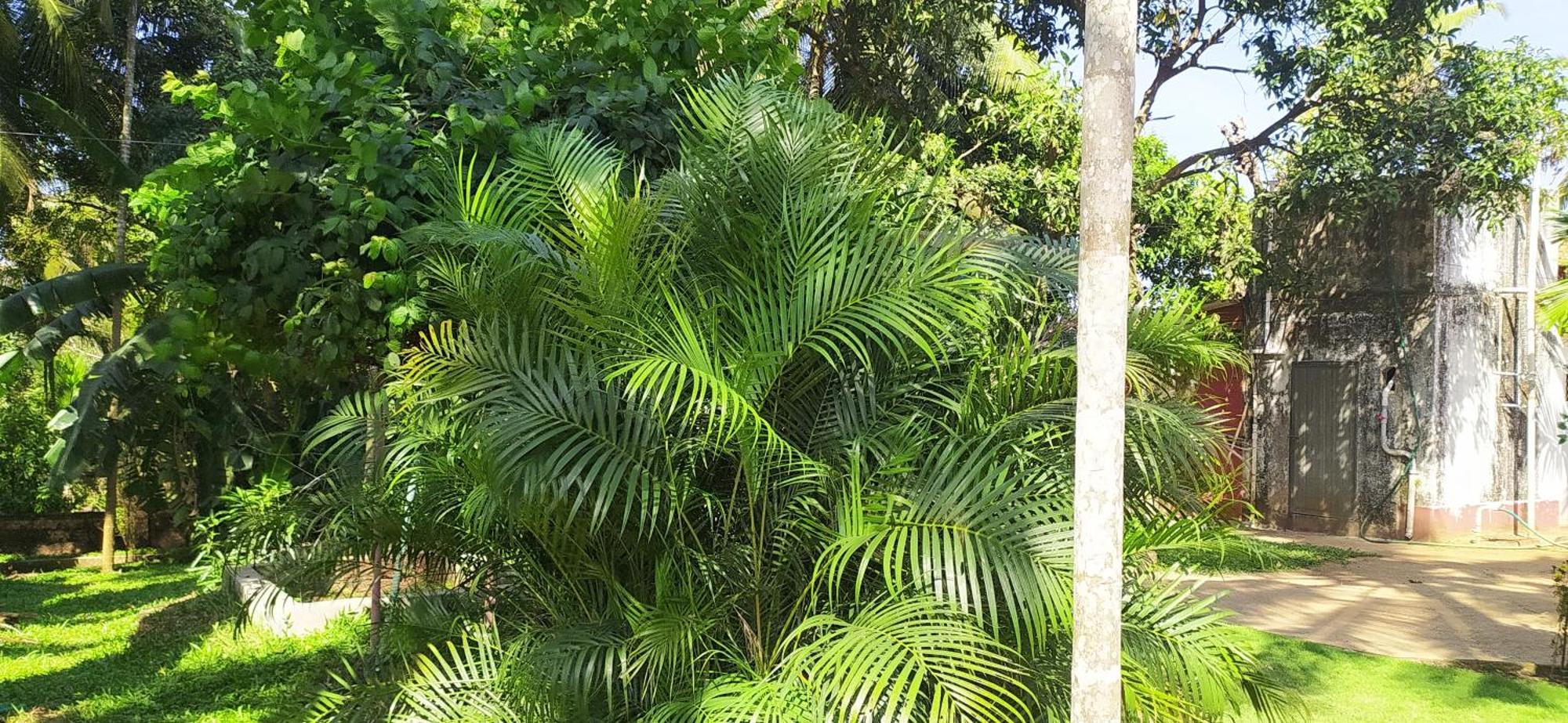 Runnin Airport - Homestay Gurpur Esterno foto
