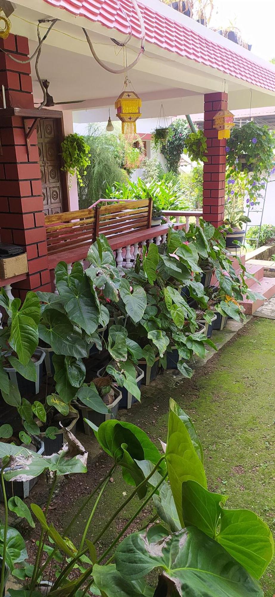 Runnin Airport - Homestay Gurpur Esterno foto